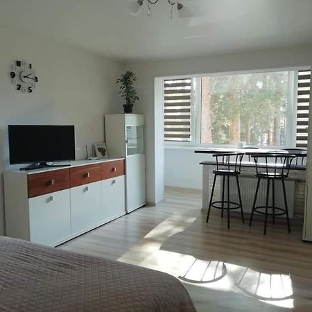 Light One Room Apartment Висагинас Экстерьер фото