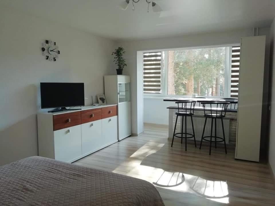 Light One Room Apartment Висагинас Экстерьер фото