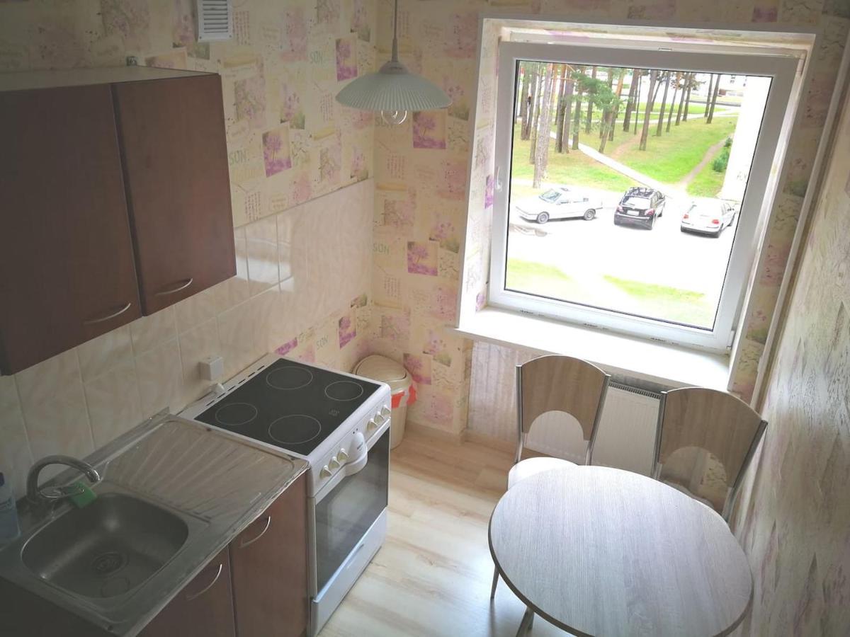 Light One Room Apartment Висагинас Экстерьер фото